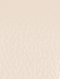 BOLSO_MUJER_XUSS_73044_CAMEL_5